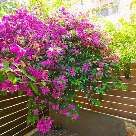 Apartment Casa Dina Lefkada City