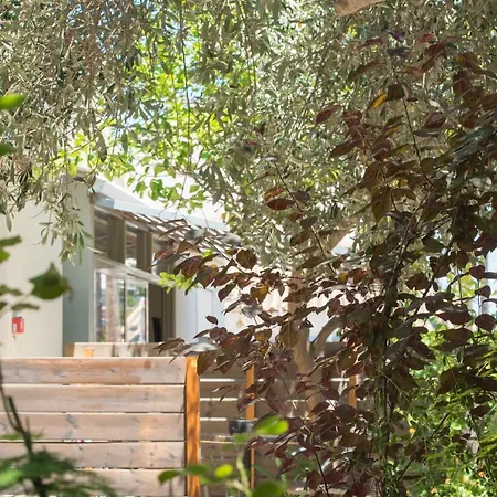 Apartment Casa Dina *
