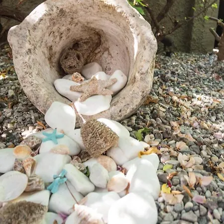 Apartmán Casa Dina *