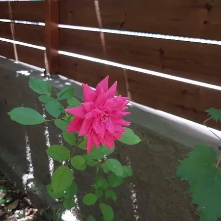 Apartmán Casa Dina Lefkáda