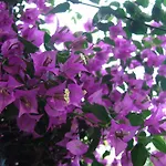Casa Dina 아파트
